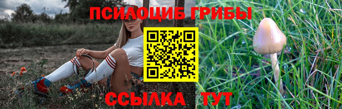 Галлюциногенные грибы мухоморы Артёмовский